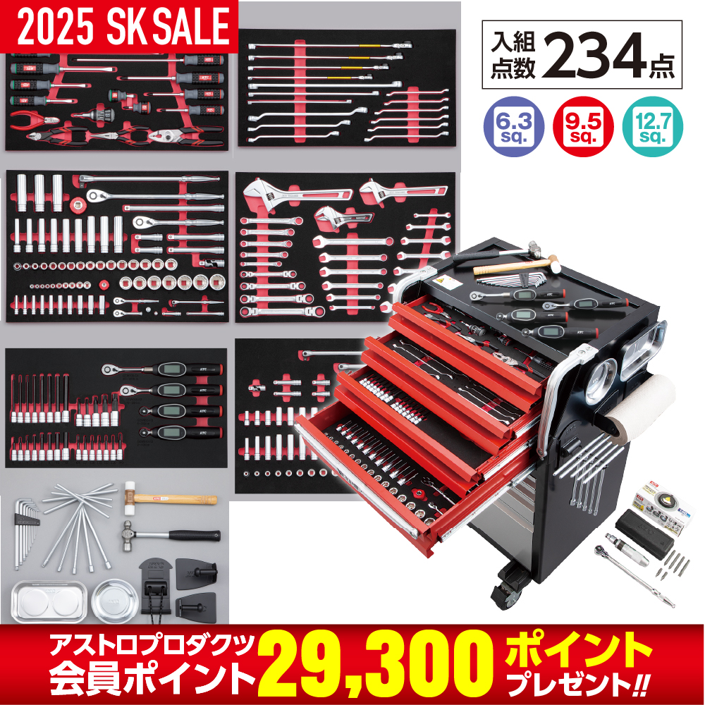 ○エキスパートセット(8段8引出し)(シルバー×レッド×ブラック) SK8025AEX