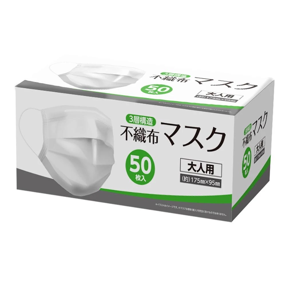 平日1日500個 Web限定販売 不織布マスク 50枚入 ホワイト 工具 Diy用品通販のアストロプロダクツ